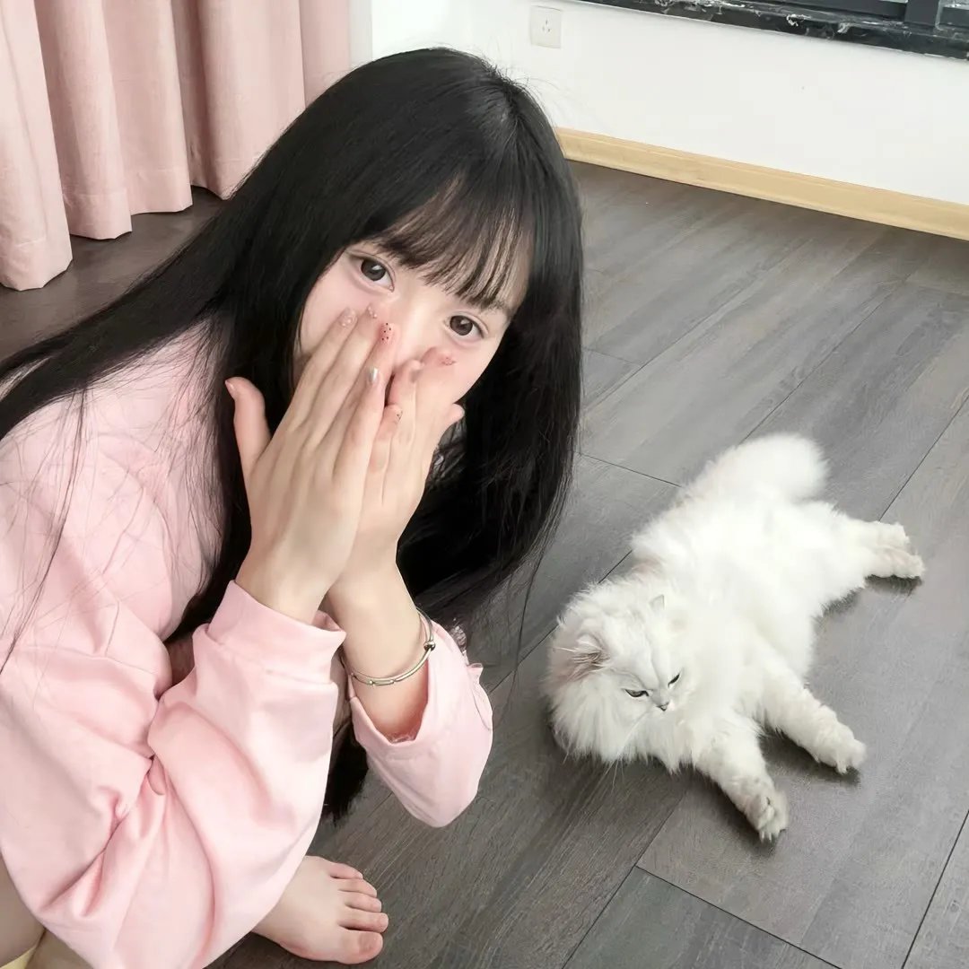 汤姆维特